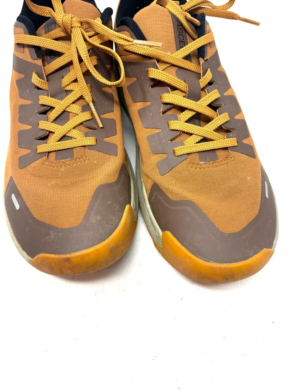 Ascend Sneakers